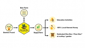 Save Local Bee_How Does the Program Work