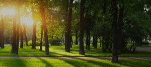 Green Blog