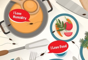 Prevent and kill cockroaches