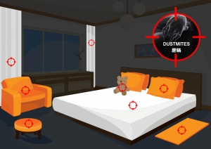 Kick Dust Mites Out Of Bed!