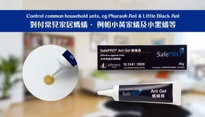 SafePRO® Ants Gel control common household ants (Pharaoh Ant & Little Black Ant)