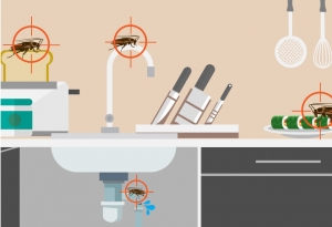 Johnson Group Cockroach Control: SafePRO® Cockroach Bait Gel