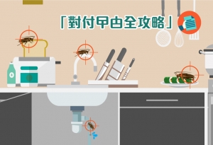 SafePRO® 蟑螂膏 (曱甴膏) - 對付曱甴全攻略