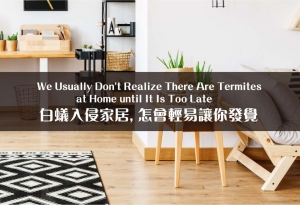 How to Prevent Termite