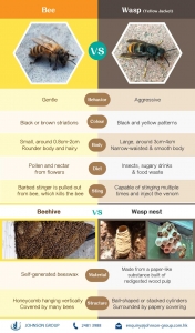 Johnson Group Save Local Bee Conservation Program; The differences between bee & wasp
