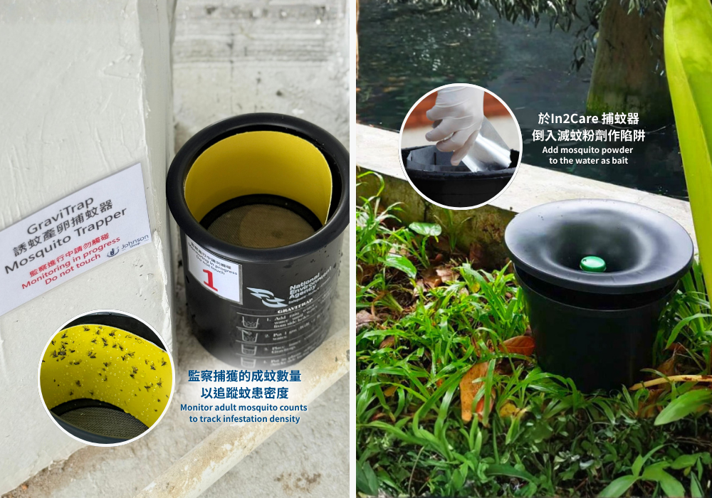 Johnson_Group_Mosquitoes_Control_誘蚊陷阱及干擾繁殖 在老鼠經常出沒處擺放鼠籠與黏鼠板,有效集中清理屍體及排泄物,減少異味與衛生問題。
